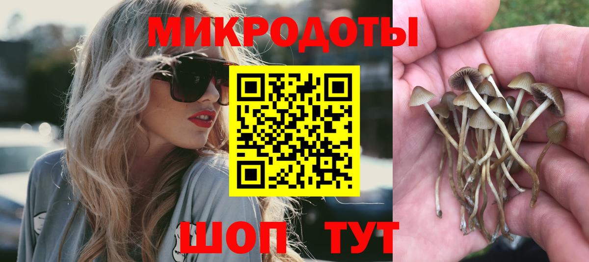 Псилоцибиновые грибы прущие грибы  Вход с VPN  Псилоцибиновые грибы Magic Shrooms  Пятигорск 