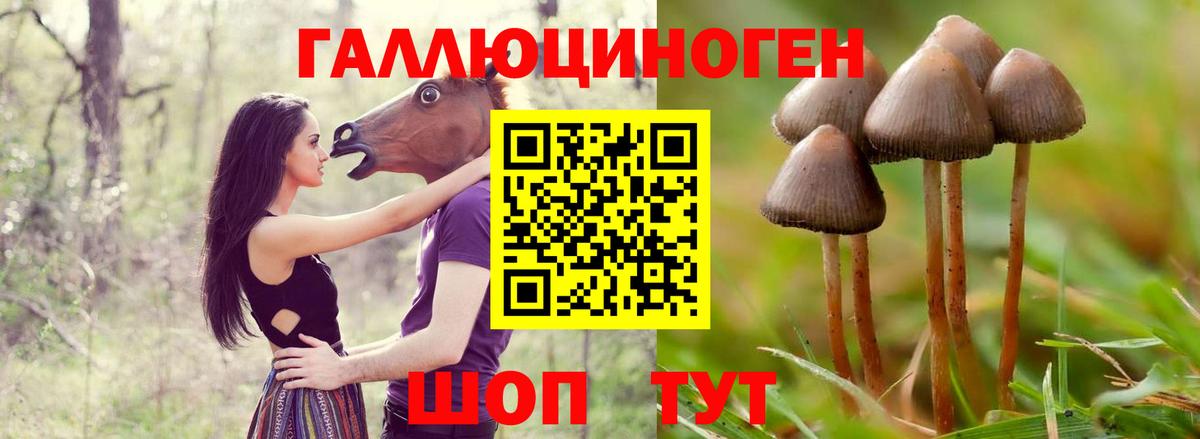 Галлюциногенные грибы мухоморы Пятигорск